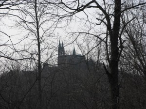 img_06202 img_06202