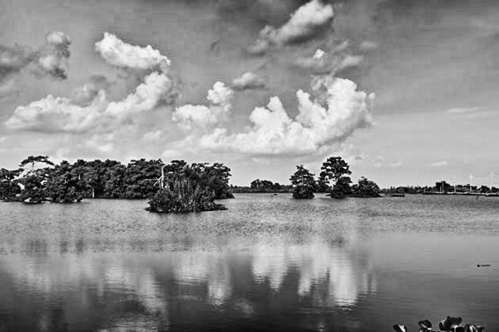 marshy rivers