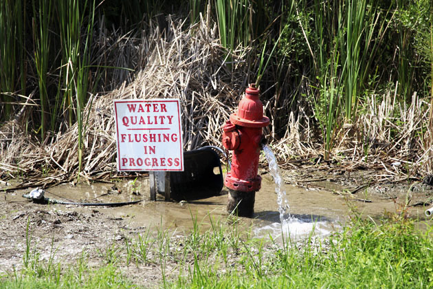 flushing flushing the lines