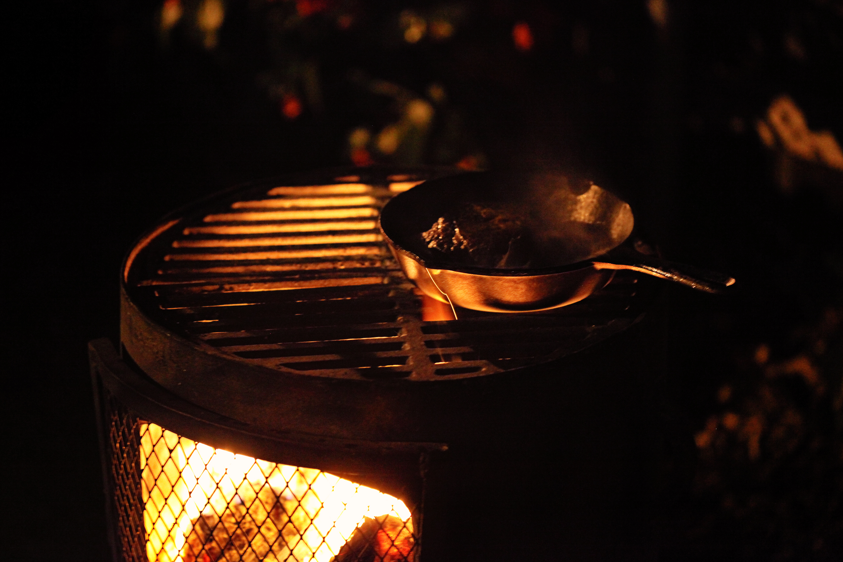 Color me Bronze grill pic