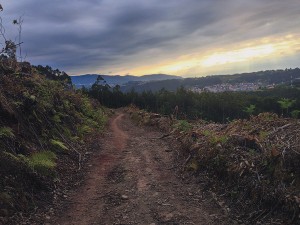 Camino