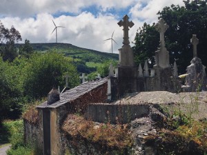 Camino Sights